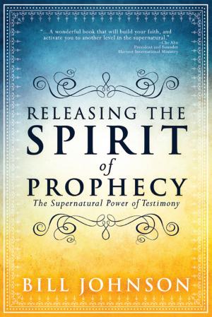 Cover of the book Releasing the Spirit of Prophecy by Haddon Willmer, Keith J White