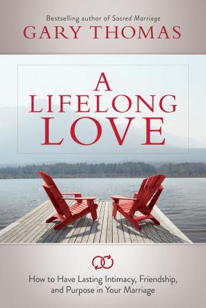 Book cover of A Lifelong Love