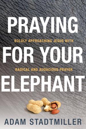 Cover of Praying for Your Elephant