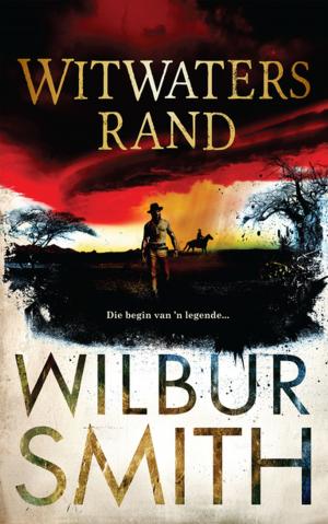 Cover of the book Witwatersrand by Mokopi Shale