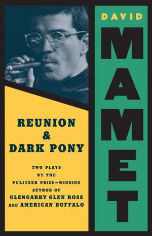Book cover of Reunion and Dark Pony