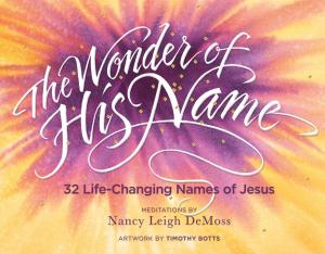 bigCover of the book The Wonder of His Name by 