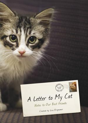 Cover of the book A Letter to My Cat by Jeremy Hawk