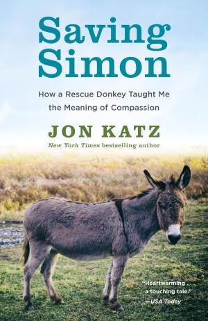 Cover of the book Saving Simon by David Cordingly