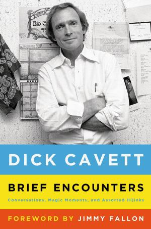 Cover of the book Brief Encounters by Michael Strumpf, Auriel Douglas