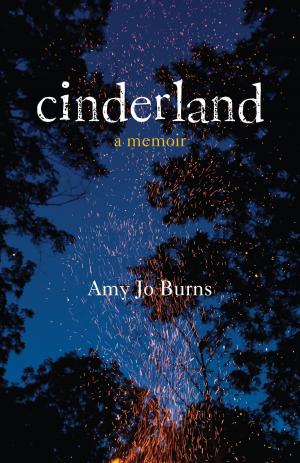 Cover of the book Cinderland by Michelle Kopra
