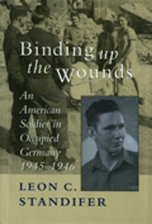 Cover of the book Binding Up the Wounds by Barton A. Myers
