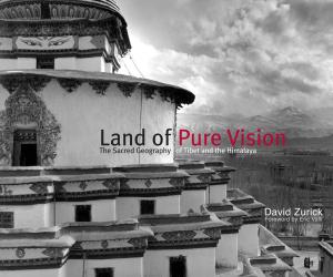 Book cover of Land of Pure Vision