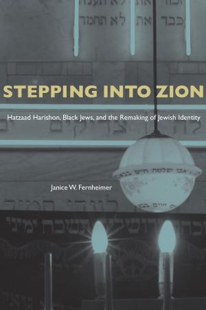 Cover of the book Stepping Into Zion by Margo Berdeshevsky