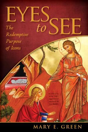 Cover of the book Eyes to See by Ellen Stephen, OSH