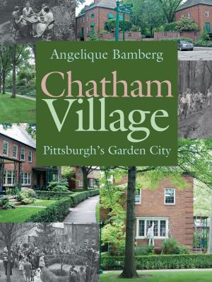 Cover of the book Chatham Village by Shara McCallum