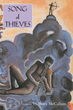 Cover of the book Song Of Thieves by Eva Marie Dubuisson