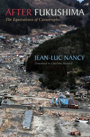Cover of the book After Fukushima by Rajani Sudan