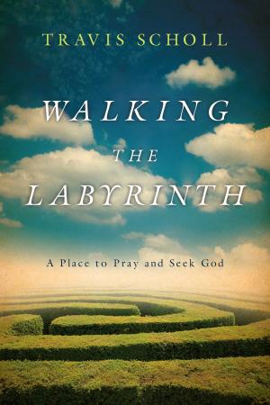 Cover of the book Walking the Labyrinth by Lance Ford, Brad Brisco