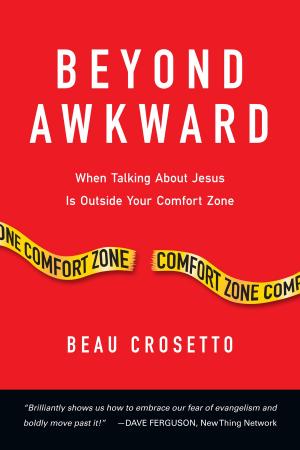 Cover of the book Beyond Awkward by Alice Fryling