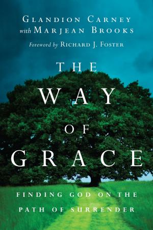Cover of the book The Way of Grace by Jeff VanVonderen, Dale Ryan, Juanita Ryan
