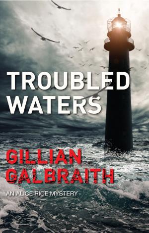 Cover of the book Troubled Waters by Vic Galloway