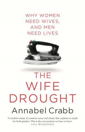 Cover of the book The Wife Drought by Joanne Fedler, Graeme Friedman