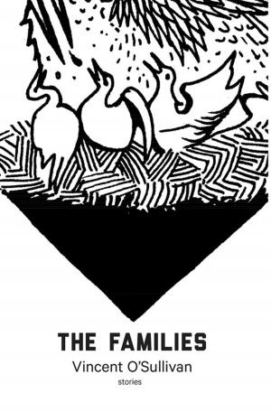 Cover of the book The Families by Catherine Chidgey