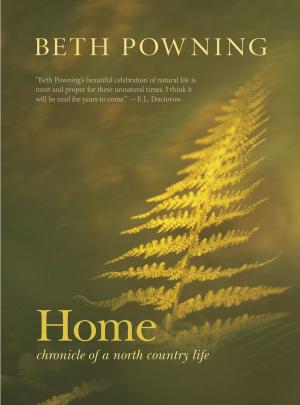 Cover of the book Home by Nicholas Guitard