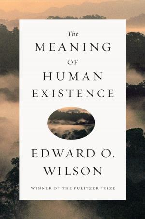 Book cover of The Meaning of Human Existence