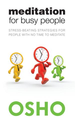 Cover of the book Meditation for Busy People by Ingo Swann