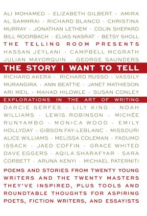 Cover of the book The Story I Want To Tell: Explorations in the Art of Writing by Lincoln Paine