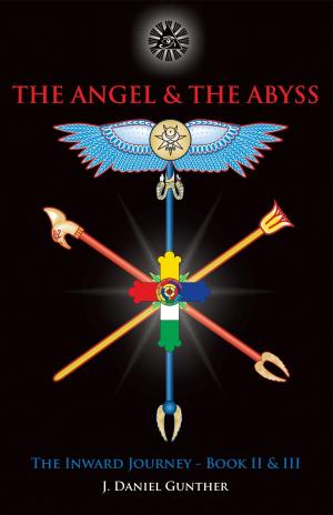 Cover of the book The Angel & The Abyss by Robin Robertson, Henry L. Drake