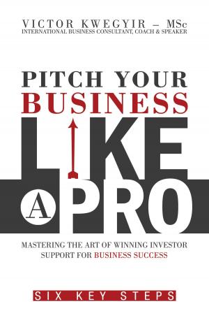 Cover of the book Pitch Your Business Like a Pro: Mastering The Art of Winning Investor Support For Business Success: Six Key Steps by Stephen R. Poland