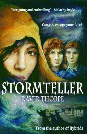 Cover of Stormteller