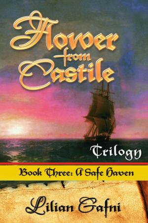 Cover of the book A Safe Haven by Jean Sweeney