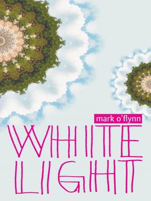 Cover of the book White Light by Amanda O'Callaghan