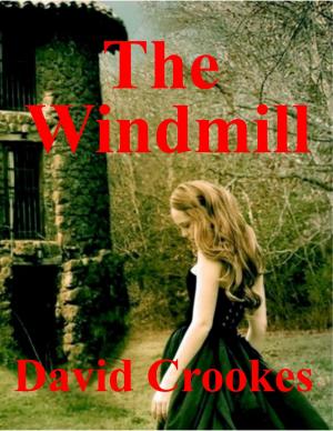 Cover of the book The Windmill by Laura Stapleton