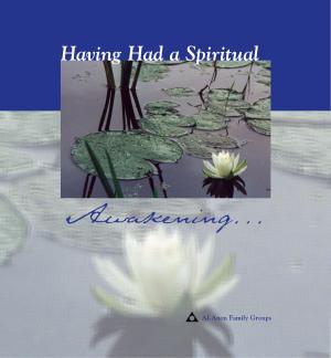 Cover of the book Having Had a Spiritual Awakening by T.E.Lawrence