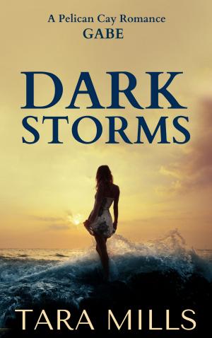 bigCover of the book Dark Storms by 