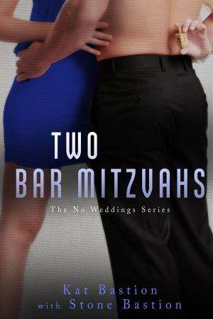 Cover of the book Two Bar Mitzvahs by Steve O'Brien