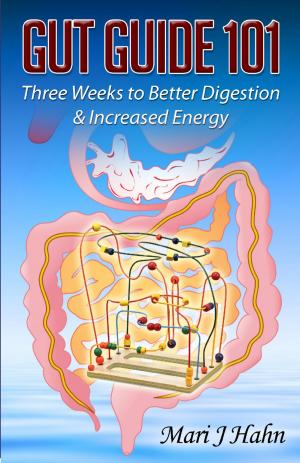 Cover of the book Gut Guide 101: Three Weeks to Better Digestion and Increased Energy by Roberto Abheeru Berruti, Danilo Da Re