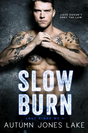 Cover of the book Slow Burn by Autumn Jones Lake
