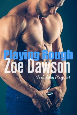 Cover of the book Playing Rough by Marina Lacey