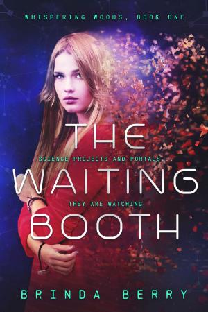 Cover of the book The Waiting Booth by Taylor Longford