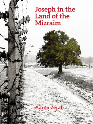 Cover of the book Joseph in the Land of the Mizraim by Betty Viamontes
