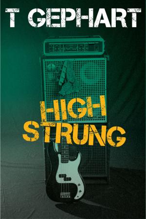 Cover of the book High Strung by Nicola Tamara Arthurs