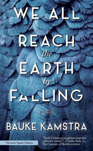 bigCover of the book We All Reach the Earth by Falling by 