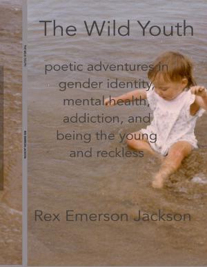 Cover of the book The Wild Youth by Cindy J. Smith