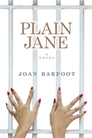 Book cover of Plain Jane