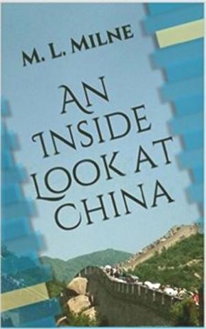 Cover of the book An Inside Look at China by João Mendes