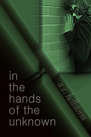 Cover of the book In the Hands of the Unknown by Taylor Dye