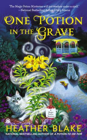 Cover of the book One Potion in the Grave by Dee Ernst