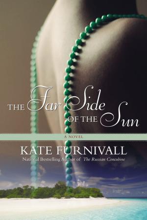 Cover of the book The Far Side of the Sun by Stephanie Tyler