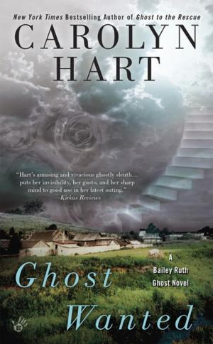 Cover of the book Ghost Wanted by Elizabeth L. Cline